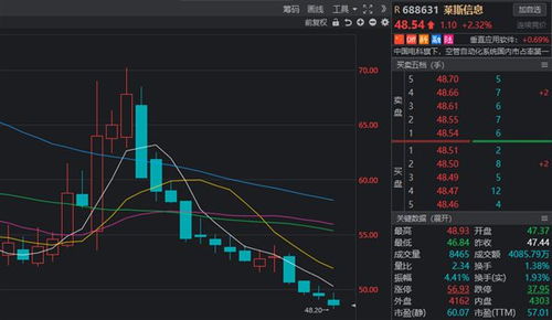 萊斯信息2024年上半年持續(xù)虧損，軟件銷售承壓成主因